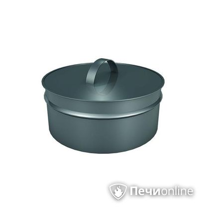 Заглушки Теплов и Сухов Заглушка ревизии Термо-Р 304 0.5 D300(200) в Горно-Алтайске