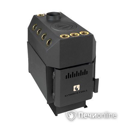 Отопительно-варочная печь Конвектика Ставр 150 с варочной поверхностью  в Горно-Алтайске