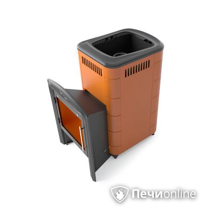 Дровяная печь-каменка TMF Тунгуска Cast Витра терракота в Горно-Алтайске