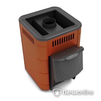 Дровяная банная печь TMF Оса Inox дверь антрацит короткий канал терракота в Горно-Алтайске